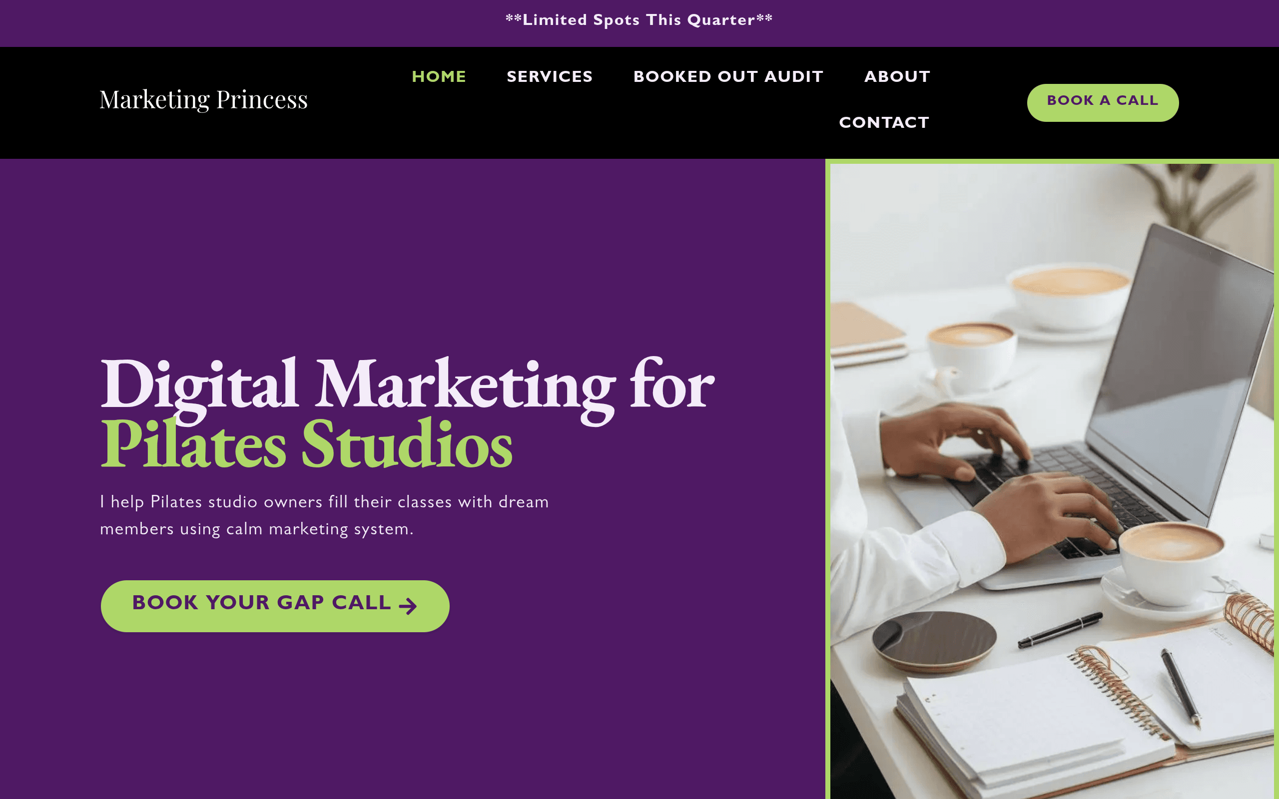 Marketing Princess interface preview